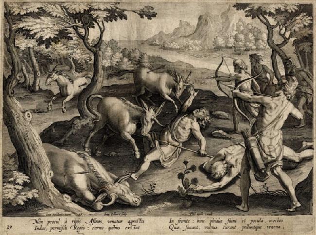 Exposition animaux fantastiques créatures licornes mythologie