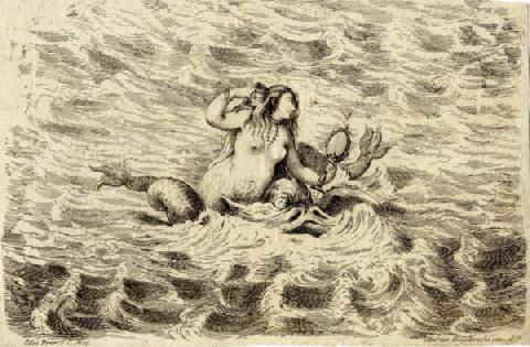Exposition créatures fantastiques animaux tritons sirènes